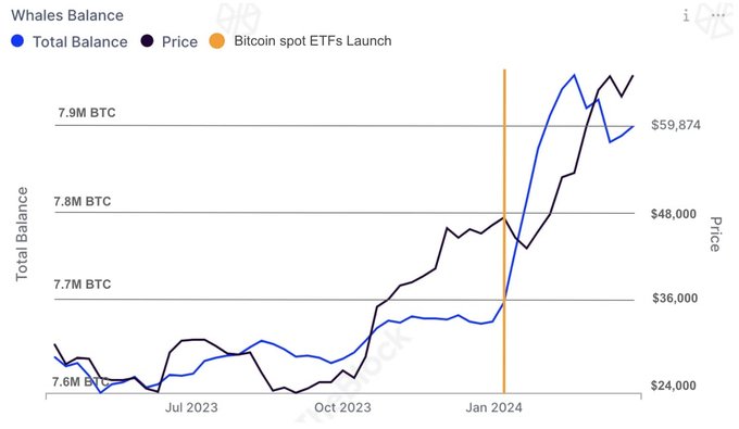 Tỷ lệ Bitcoin được nắm giữ bởi các quỹ Bitcoin ETF. Nguồn: IntoTheBlock