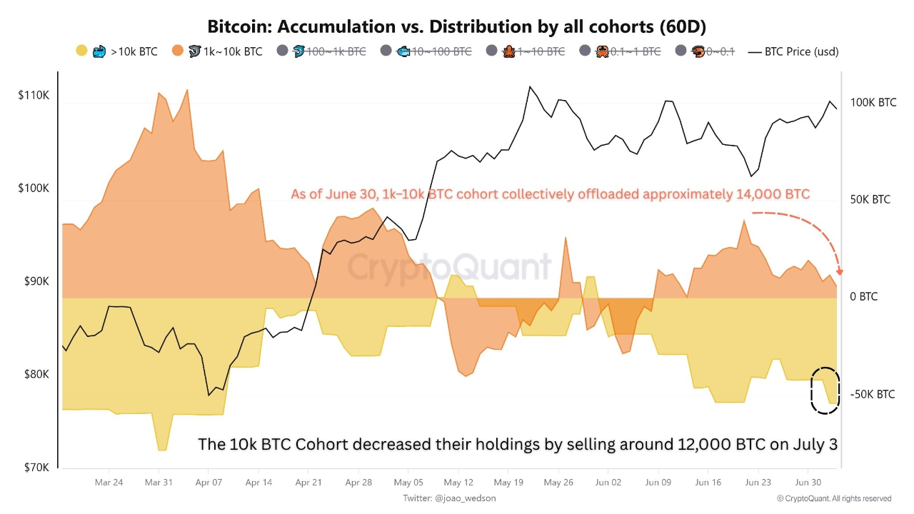 Biến động của những người nắm giữ BTC