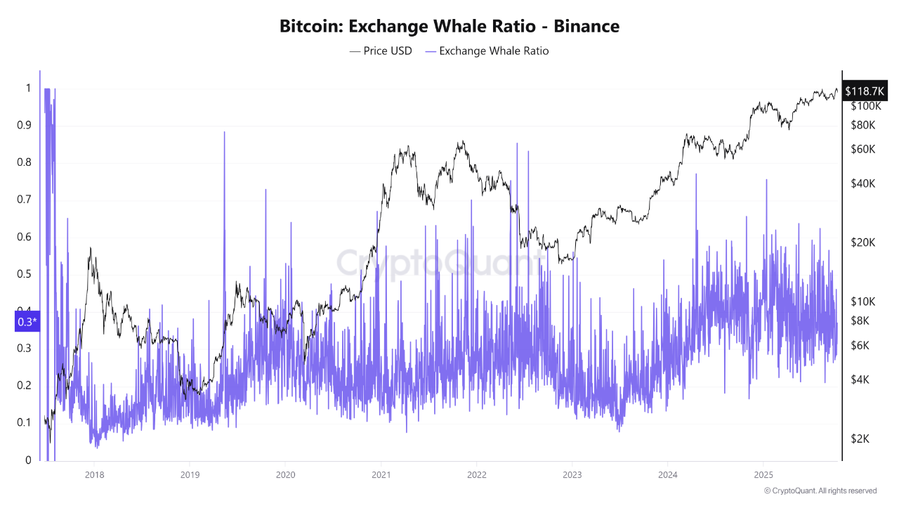 Chỉ báo on-chain Exchange Whale Ratio trên Binance