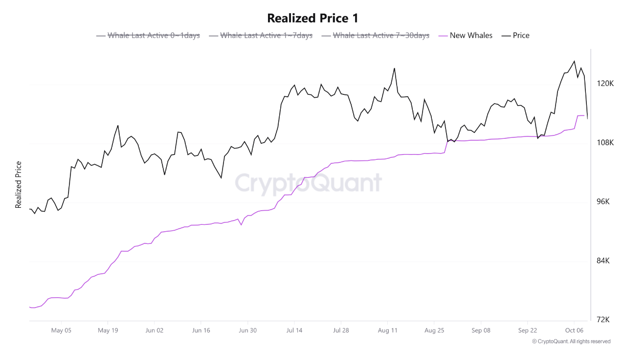 Chỉ báo on-chain Bitcoin Realized Price của các cá voi mới