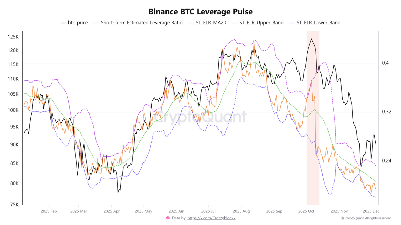 Binance Leverage Pulse