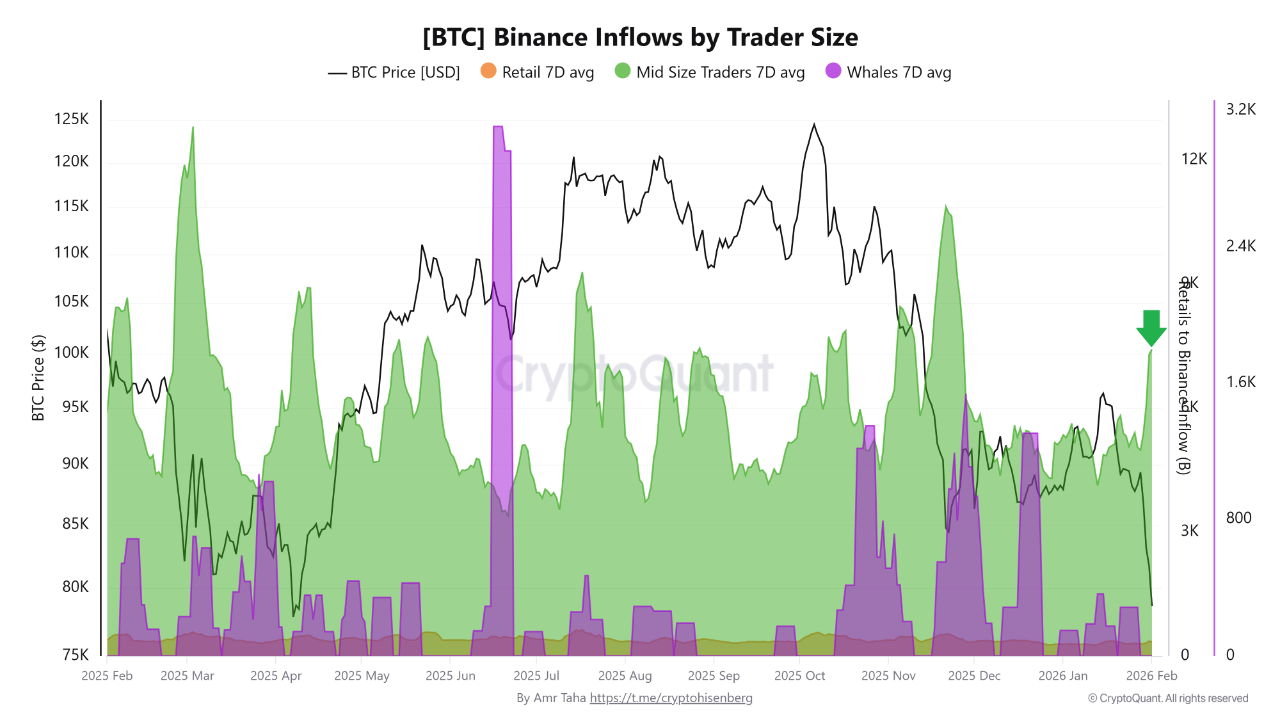 Binance Inflows by Trader Size