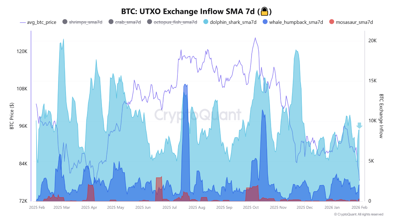 Chỉ báo Bitcoin UTXO
