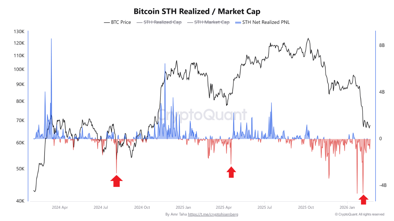 Dữ liệu Bitcoin STH