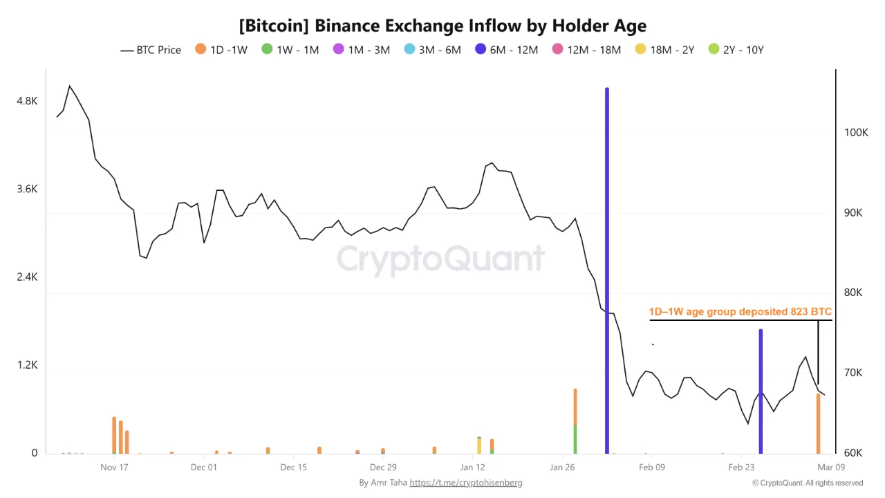 Binance Exchange Inflow by Holder Age