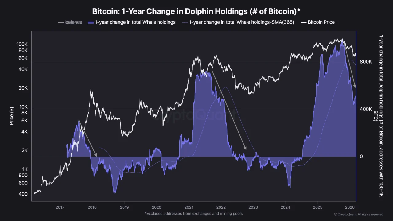 BTC: Dolphin Holdings Growth Rate