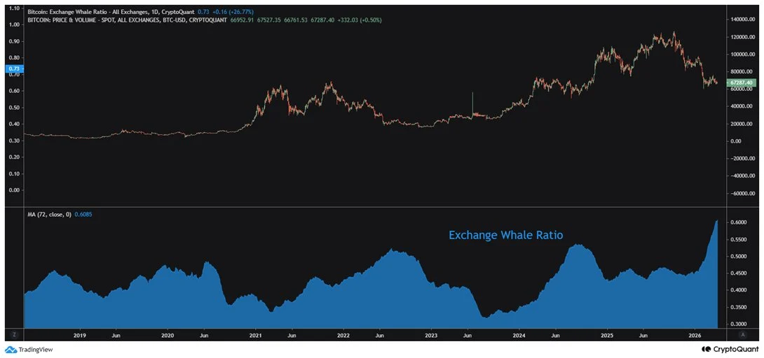 Tỷ lệ nhà đầu tư lớn (cá voi) trên sàn giao dịch đang ở mức cao nhất trong 10 năm.