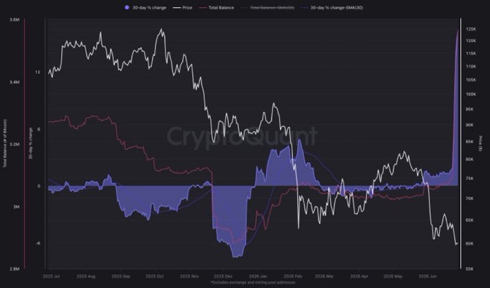 Lượng Bitcoin do cá voi nắm giữ tăng đột biến lớn nhất từ trước đến nay.