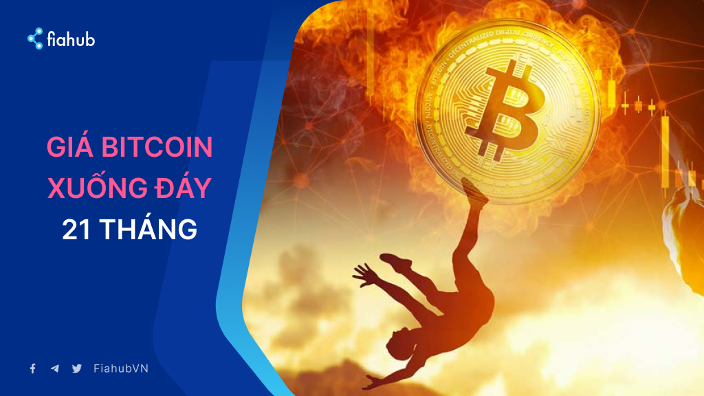 Giá Bitcoin rớt dưới 58.500 USD khi cá voi tích lũy kỷ lục Giá Bitcoin rớt dưới 58.500 USD khi cá voi tích lũy kỷ lục